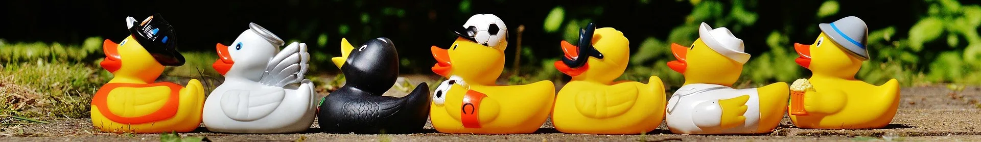 When Plans Change - as they are prone to do, are you able to roll with it and still get all your ducks lined up?