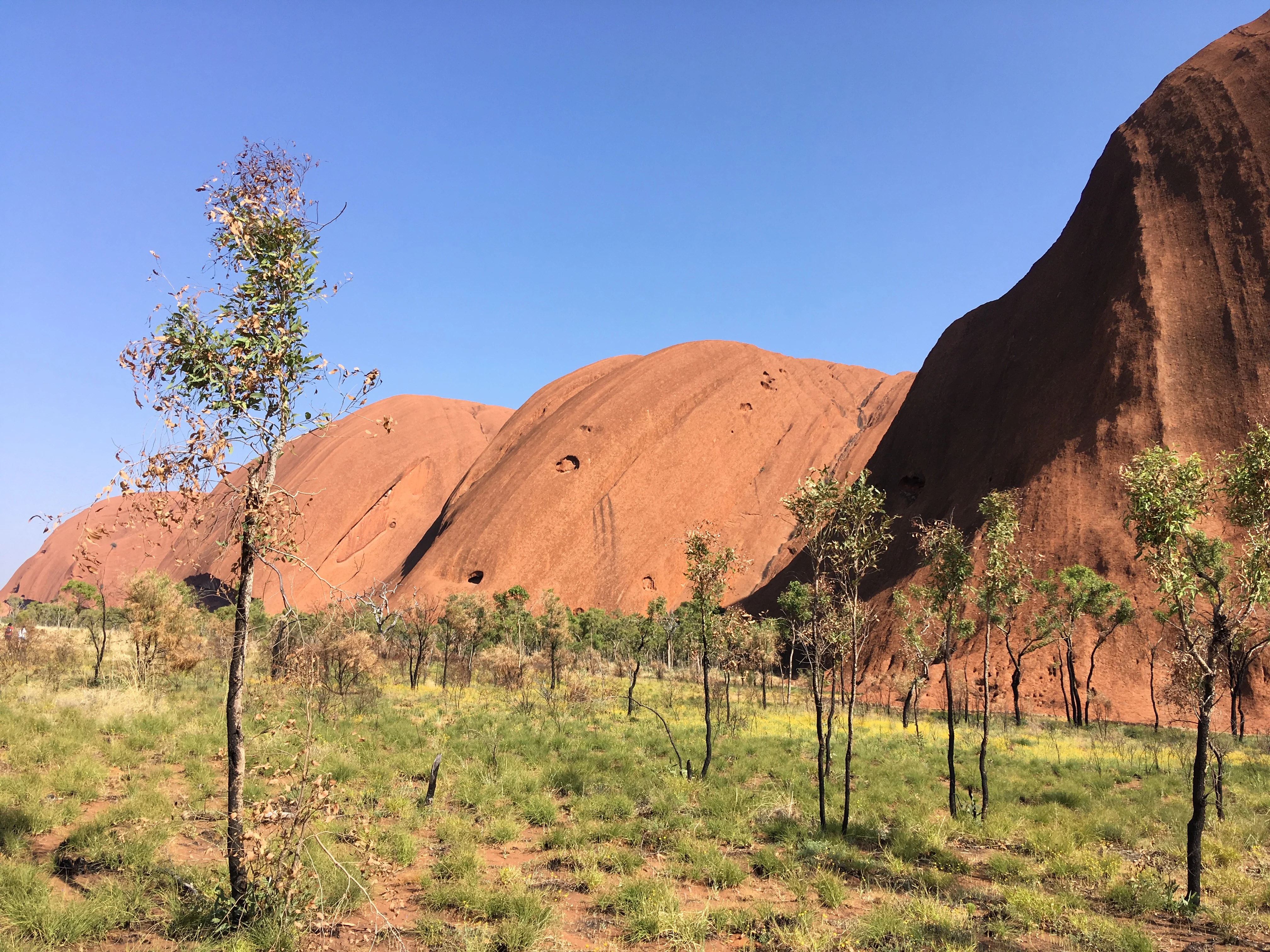 After waking up to see the sunrise, we set off early to go and cycle around Uluru.