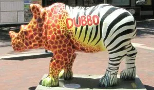 If you're looking for the best things to do while visiting Dubbo NSW you must make the Taronga Western Plains Zoo your first stop.