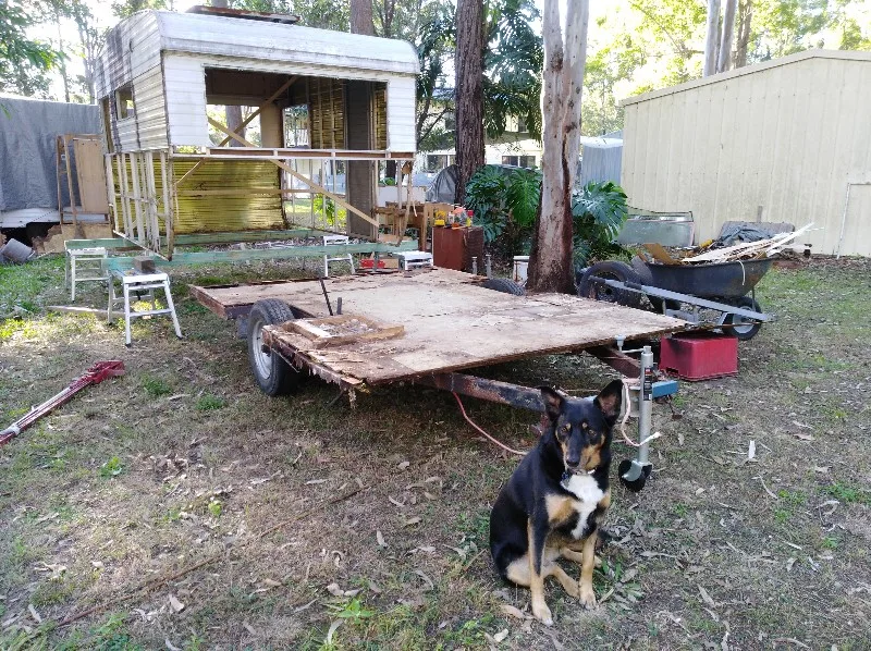 Old caravan with the body removed from the chassis. And a kelpie dog sitting out front.