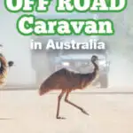 Emus running in front of a car and caravan on an outback road, with text: The best off road caravans 2022.
